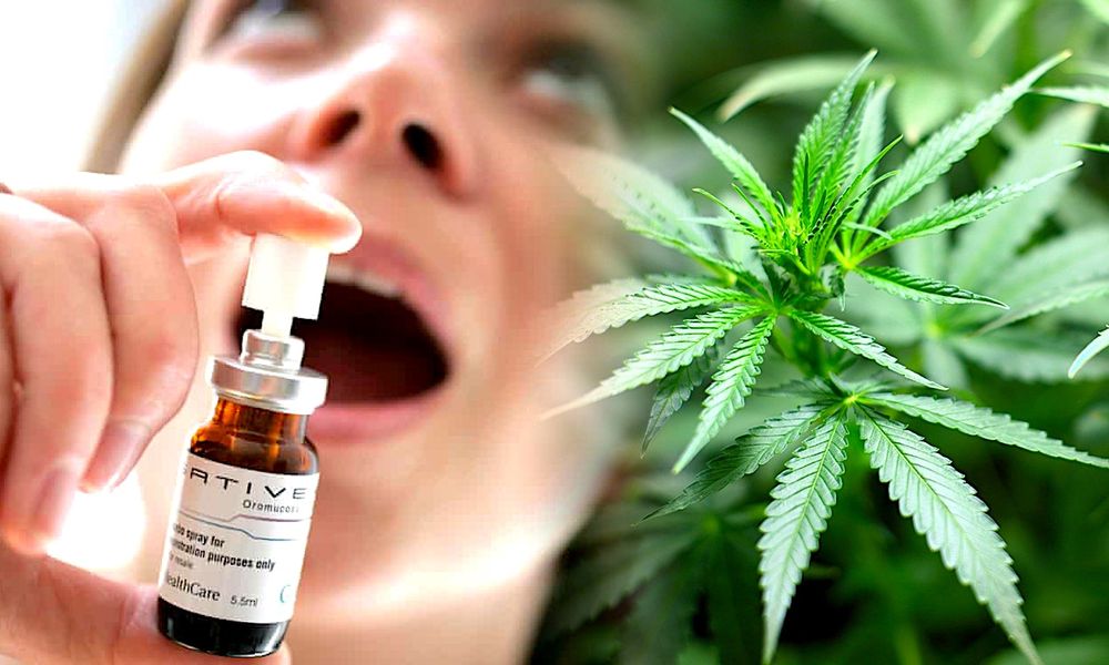 Un spray buccal à base de cannabis en phase d'essai pour traiter les tumeurs cérébrales