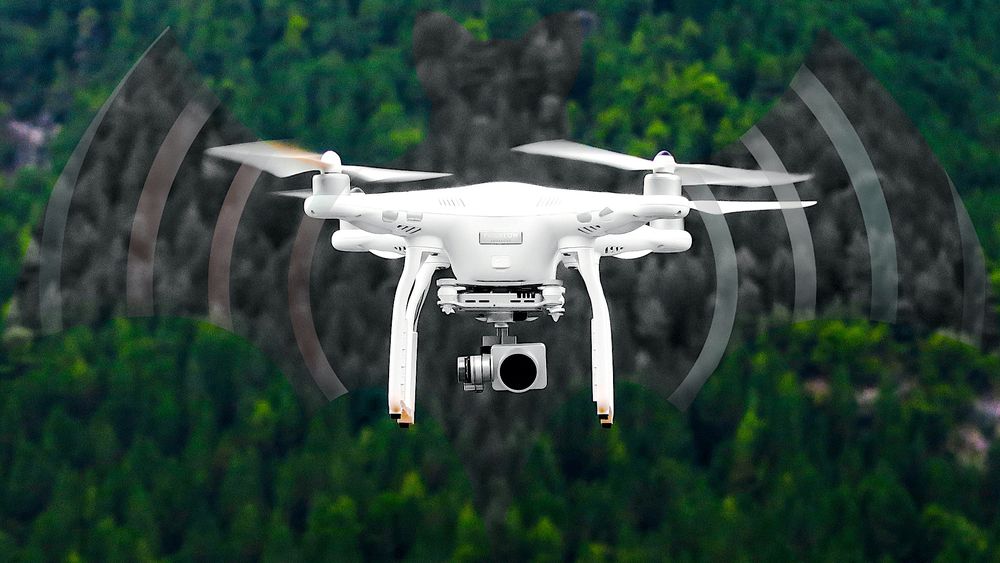 Un système permettant aux robots de s’écholocaliser avec leur propre bruit