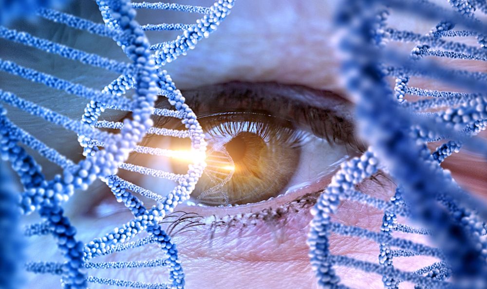 Thérapies ARN : un patient aveugle recouvre la vue pendant un an après une seule injection