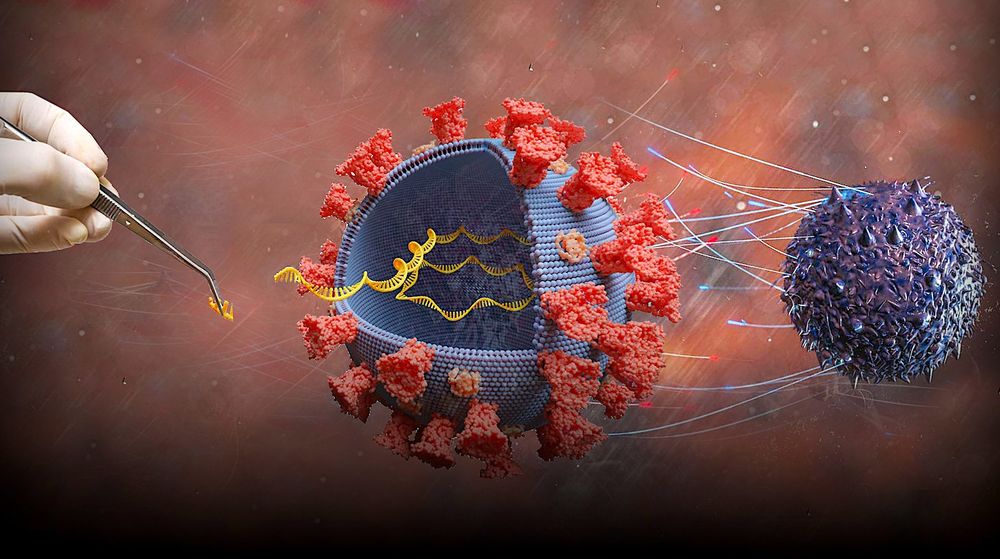 Vaccins à ARNm : comment fonctionnent-ils ? En quoi sont-ils innovants ?