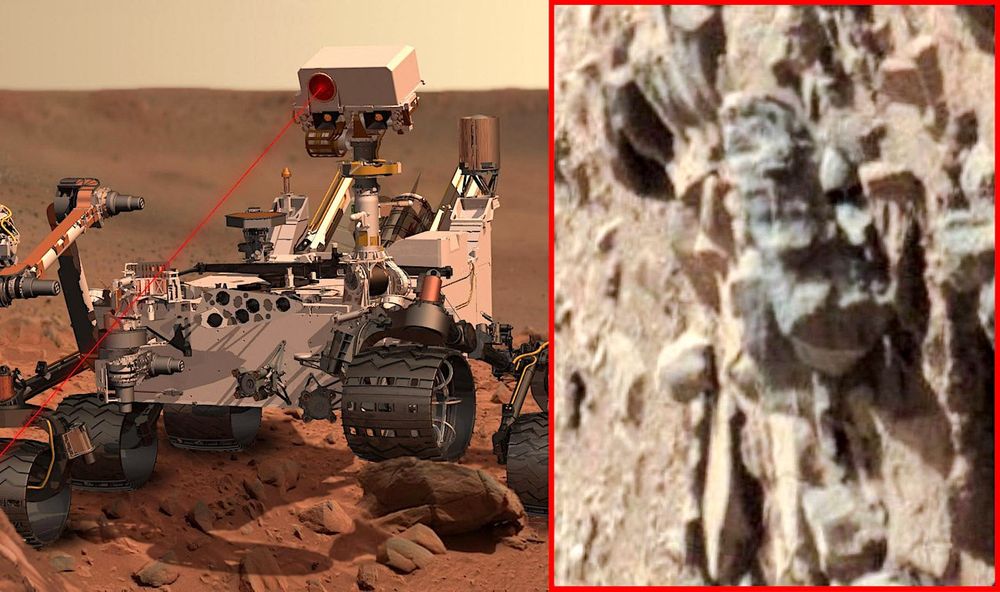 Un entomologiste pense avoir découvert des preuves de vie extraterrestre sur Mars