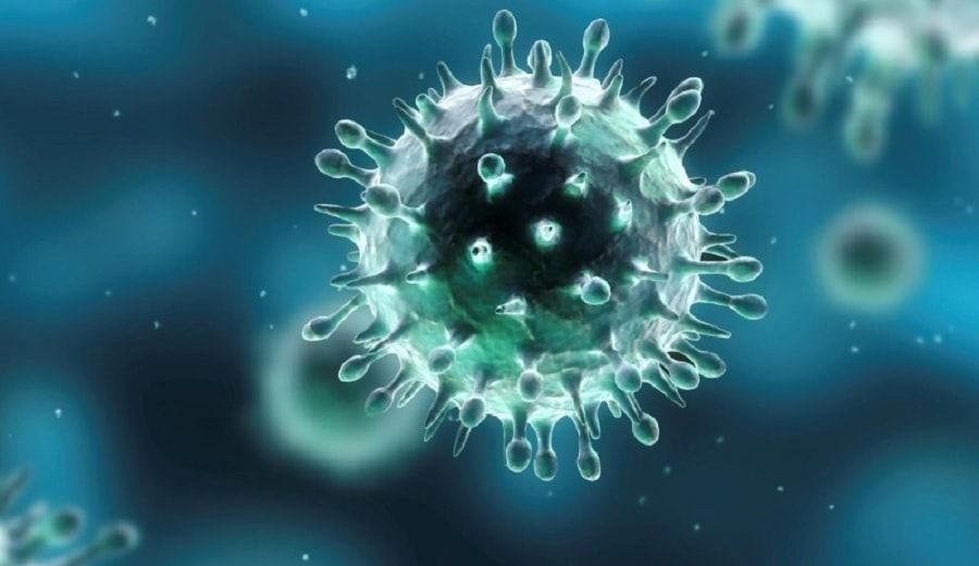 Une découverte révèle un mécanisme qui active et désactive le virus de l'herpès