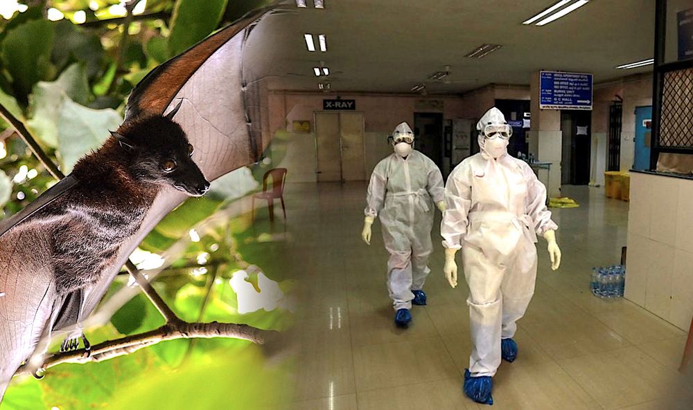 Un virus extrêmement mortel se propage en Inde