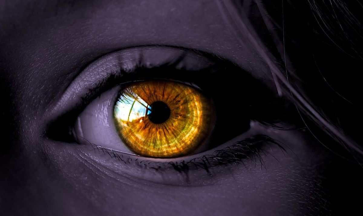 Un type spécifique de traitement contre le cancer améliore la vision nocturne, et nous savons enfin pourquoi
