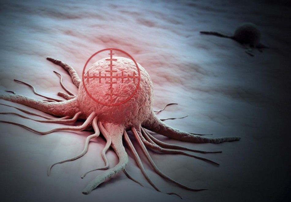 Cancer : une percée permettant d'obtenir des composés anticancéreux naturels, avec peu d'effets secondaires