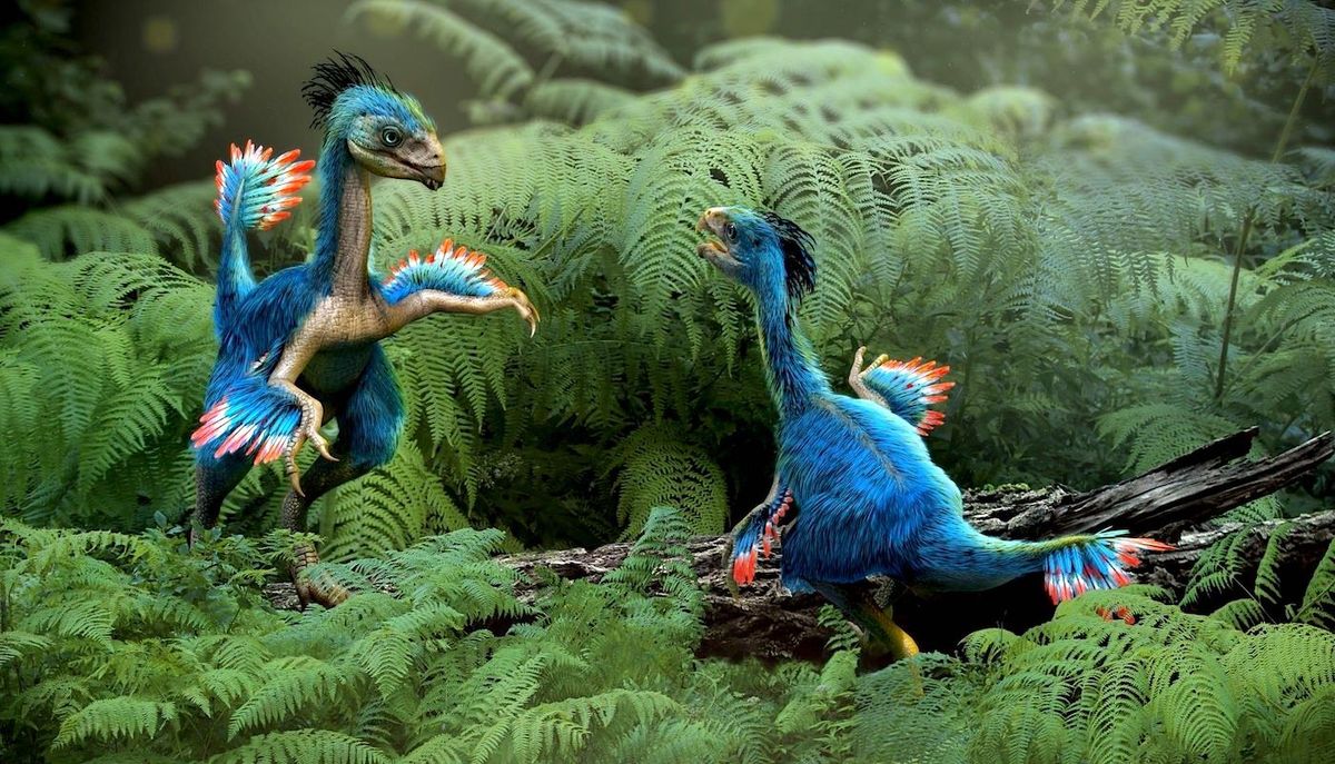 Un cartilage de dinosaure fossilisé révèle des cellules extrêmement bien conservées