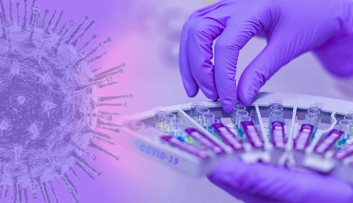 De nouvelles "affirmations" selon lesquelles le coronavirus a été créé en laboratoire ont été rejetées par la communauté scientifique