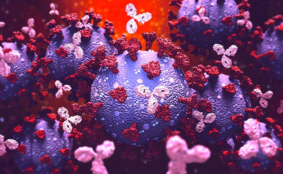 COVID-19 : vous pourrez bientôt savoir si vous êtes (vraiment) immunisé