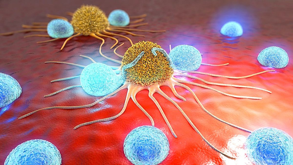 Nouvelles thérapies : Éliminer le cancer en libérant le système immunitaire avec des bactéries