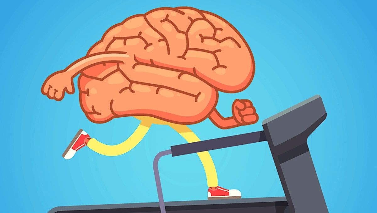 L'exercice physique améliore le fonctionnement cérébral et aiderait à combattre Alzheimer