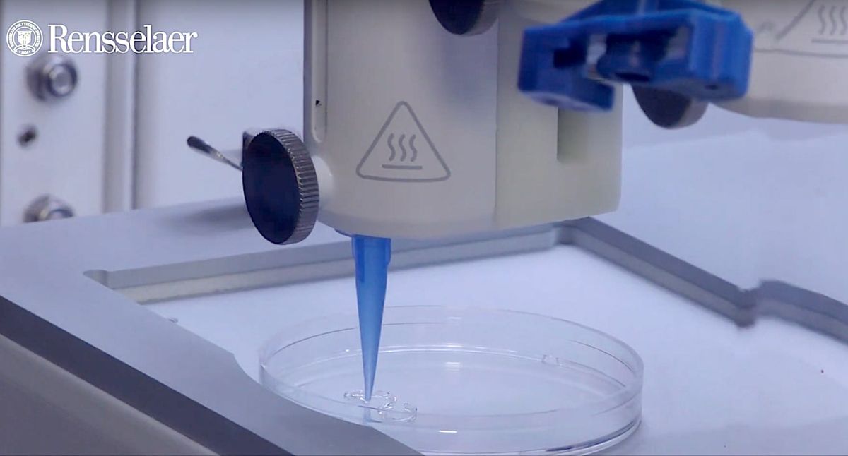 De la peau vivante peut maintenant être imprimée en 3D, vaisseaux sanguins inclus
