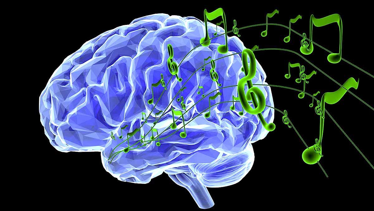 Comment le fait de jouer de la batterie change-t-il le cerveau ?