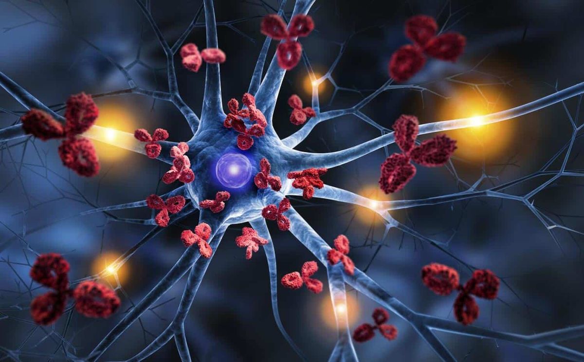 Vers la fin des maladies auto-immunes ? Les avancées qui redonnent espoir