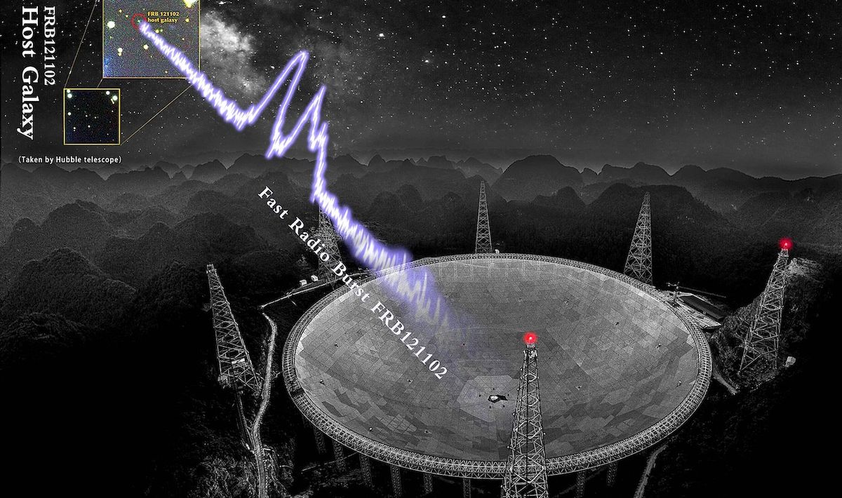 Plus d'un millier d'explosions cosmiques détectées en 47 jours intriguent les astronomes