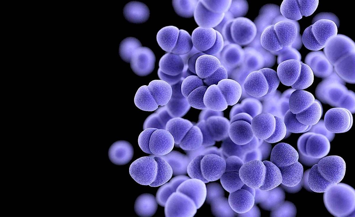 Un nouveau médicament contre les superbactéries mortelles pourrait sauver des dizaines de milliers de vies