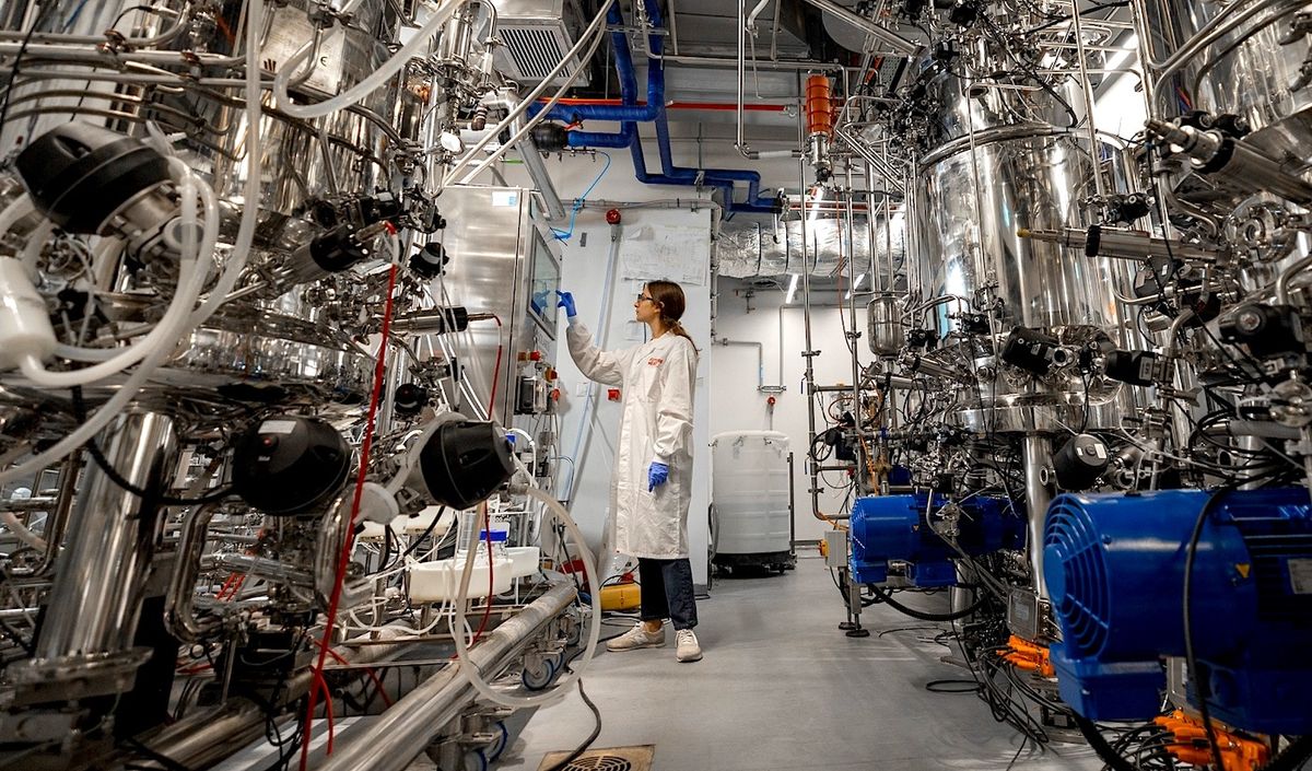La première usine de viande cultivée en laboratoire au monde vient d'ouvrir ses portes