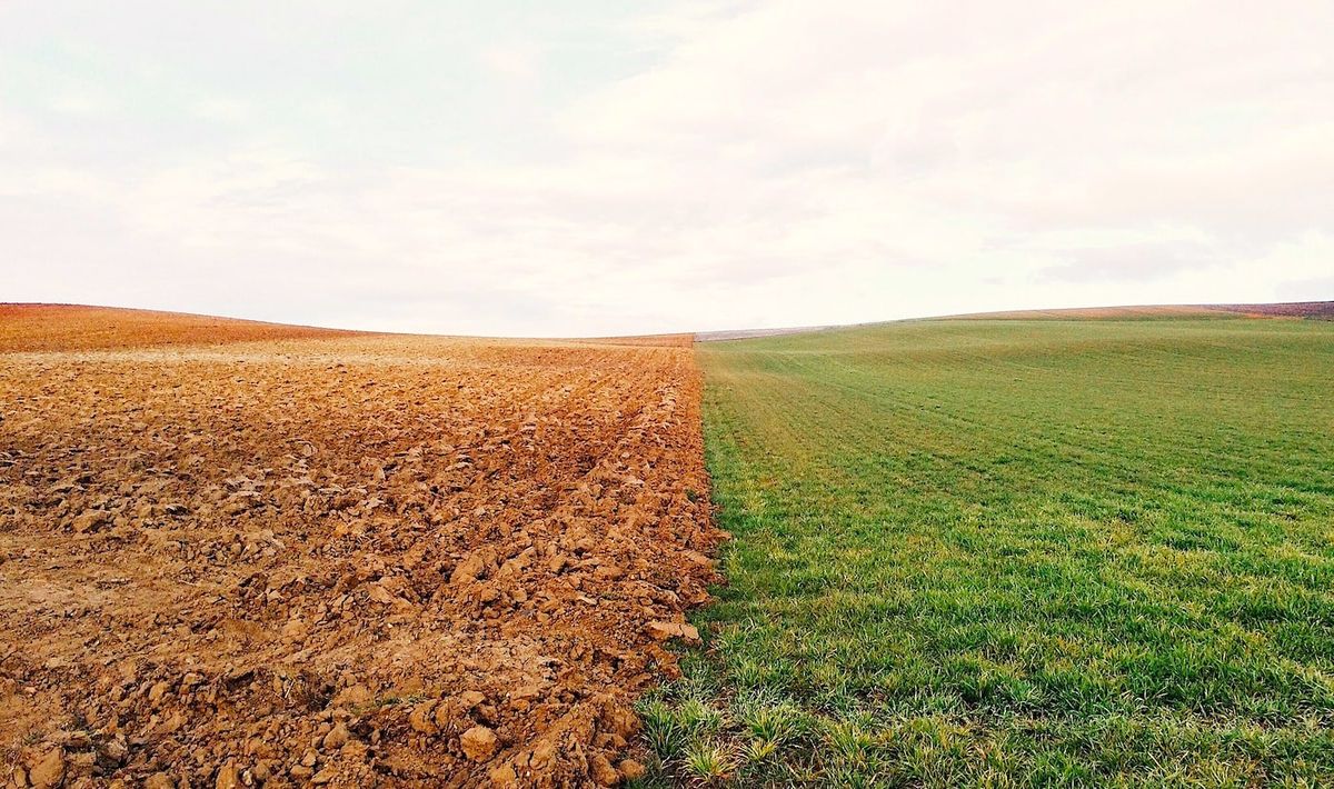 Cette terre auto-arrosante pourrait révolutionner l'agriculture