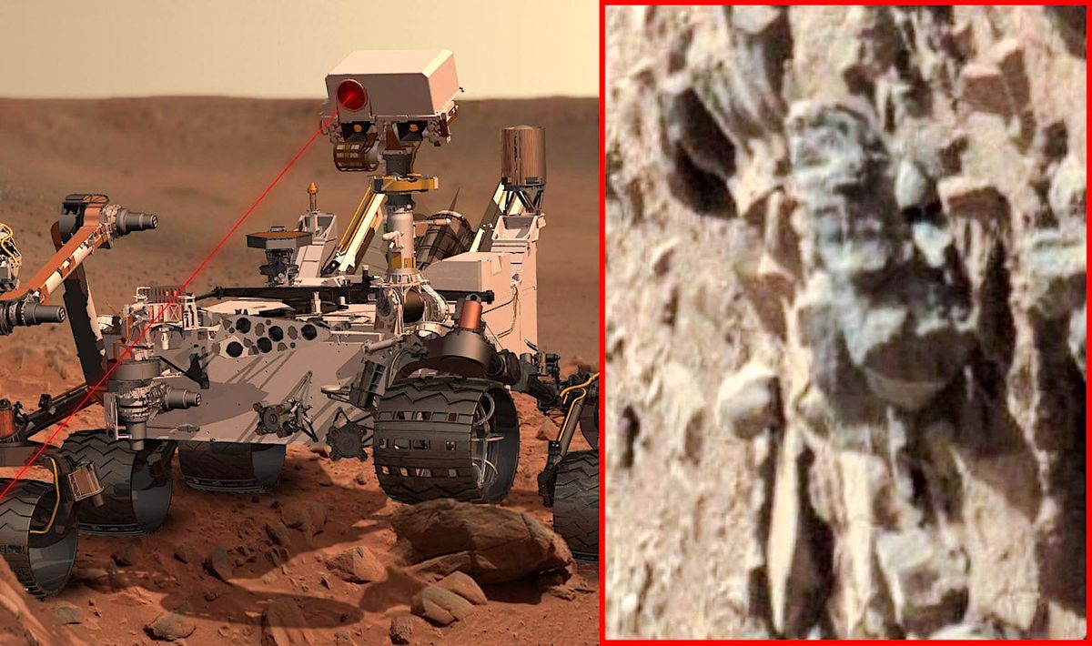 L'université de l'Ohio supprime le communiqué concernant l'étude montrant des "preuves" de présence d'insectes sur Mars