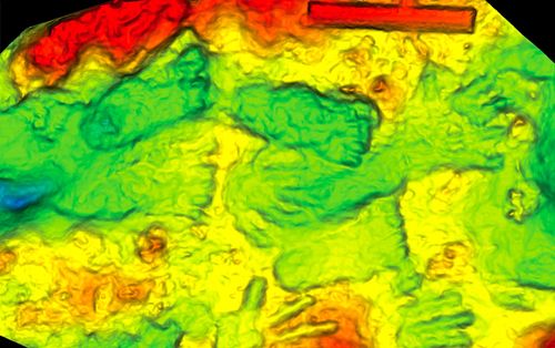D'anciennes empreintes laissées par des enfants seraient l'exemple d'art pariétal le plus ancien connu à ce jour