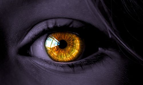 Un type spécifique de traitement contre le cancer améliore la vision nocturne, et nous savons enfin pourquoi