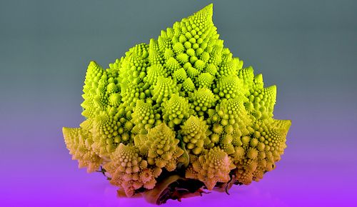 Des chercheurs ont découvert le secret du développement "en fractale" des choux romanesco