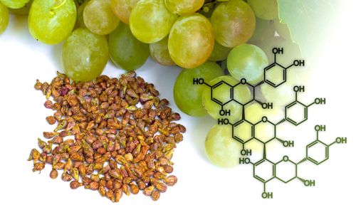 Un composé issu des pépins de raisin pourrait prolonger la durée de vie