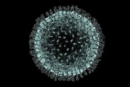 Le coronavirus de Wuhan se propagerait également par voie fécale