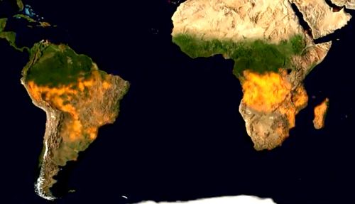 Une vidéo impressionnante montre l'étendue des feux de forêt dans le monde en 2019