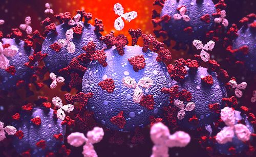 COVID-19 : vous pourrez bientôt savoir si vous êtes (vraiment) immunisé