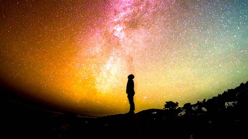 À quel point l'éventuelle extinction de notre espèce inquiète-t-elle la population ? Une nouvelle étude révèle des résultats troublants...