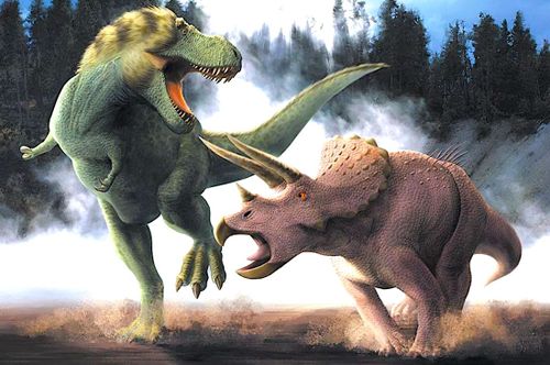 Un fossile d'un T-Rex et d'un Triceratops figés dans un combat perpétuel sera enfin étudié et révélé au public