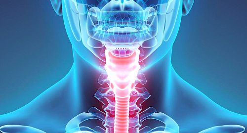 Ces "cordes vocales" artificielles pourraient un jour permettre aux personnes muettes de parler à nouveau