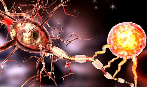 Innovation : un hydrogel conducteur qui pourrait guérir les lésions nerveuses