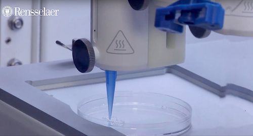 De la peau vivante peut maintenant être imprimée en 3D, vaisseaux sanguins inclus