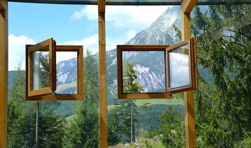 Innovation : du bois complètement transparent, qui pourrait remplacer les vitres conventionnelles