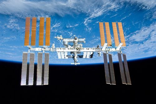 Les moisissures de la Station spatiale internationale survivent à 200 fois la dose de rayonnement qui tuerait un être humain