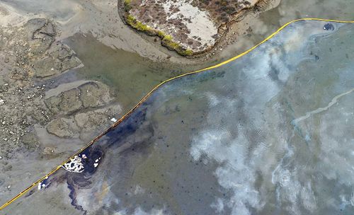 Une marée noire menace la Californie : parmi les pires depuis des décennies
