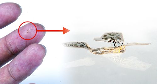 Cette "micropuce ailée" est la plus petite structure volante jamais conçue. Elle pourrait servir à la surveillance des populations animales