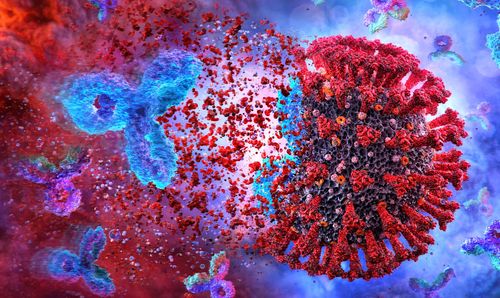 Un nouvel anticorps protège du SARS-CoV-2 et ses variants tout en l'empêchant de muter