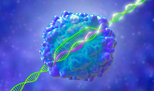 Des chercheurs mettent au point un nouvel éditeur de gènes pour supprimer les maladies génétiques