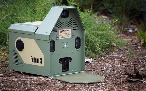 Un pistolet à détection laser tirant du gel toxique tue des chats sauvages en Australie