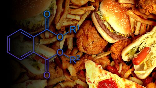 Selon une étude, la nourriture des fast-foods contient des substances qui perturbent vos hormones