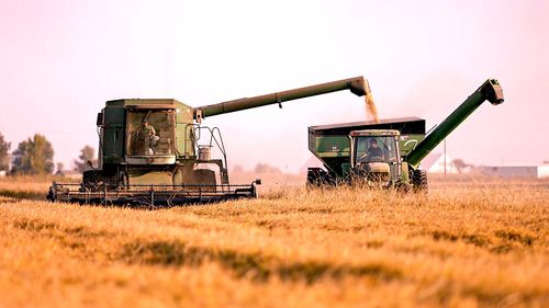 Notre système alimentaire actuel ne peut nourrir que 3.4 milliards de personnes de manière durable
