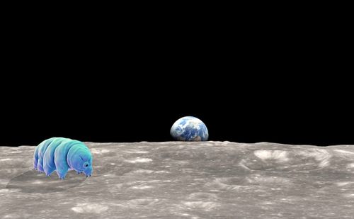 Des milliers de tardigrades sont probablement bloqués sur la Lune après le crash d'une sonde spatiale