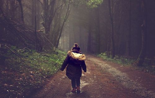 Le temps passé en forêt aiderait au développement cérébral des enfants, selon une nouvelle étude