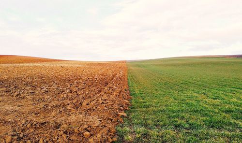 Cette terre auto-arrosante pourrait révolutionner l'agriculture