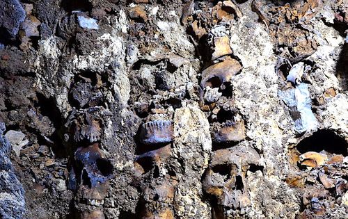 « Tour de crânes » de Mexico : plus de 100 crânes supplémentaires découverts, résultant probablement de sacrifices