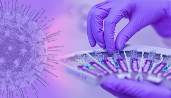 De nouvelles "affirmations" selon lesquelles le coronavirus a été créé en laboratoire ont été rejetées par la communauté scientifique