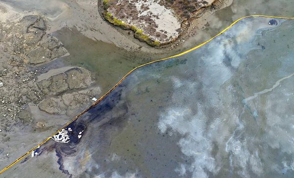 Une marée noire menace la Californie : parmi les pires depuis des décennies