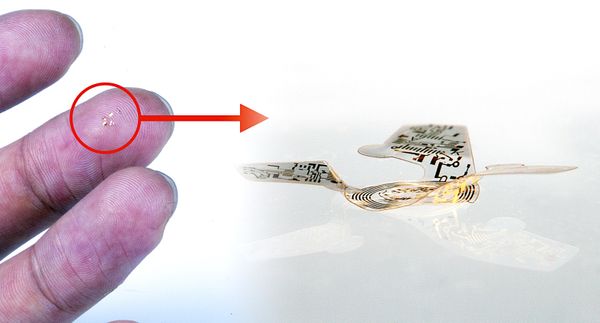 Cette "micropuce ailée" est la plus petite structure volante jamais conçue. Elle pourrait servir à la surveillance des populations animales